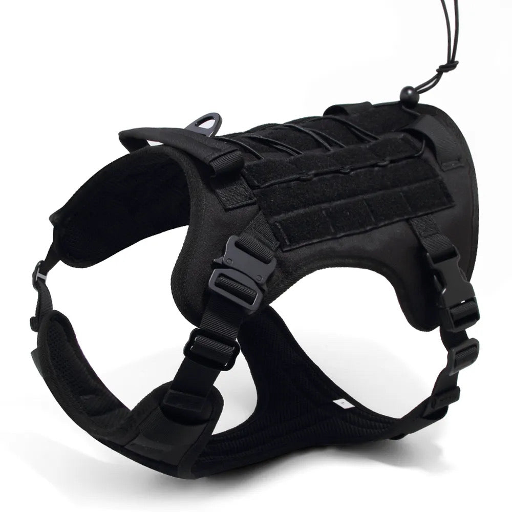 Tactical Harness